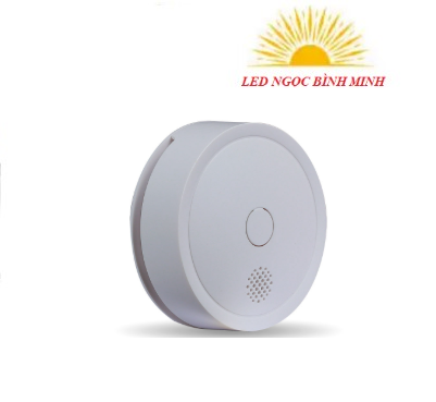 Cảm biến khói CB11.SM.WF